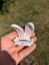 Bunny Ears Hair Clip