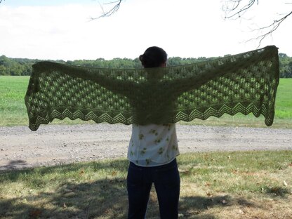 Fir Cone and Lace Shawl