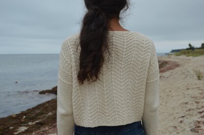 Salt Marsh Pullover