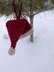 Christmas goody bag: Santa Hat English-US