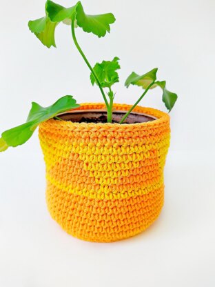 Plant Pot Covers Fall