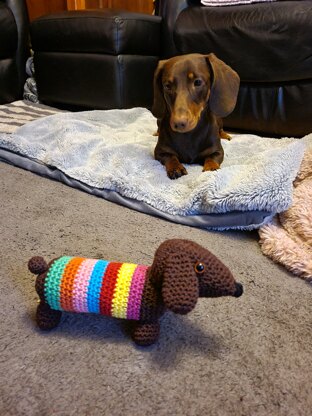 Rainbow Sausage Dog