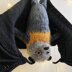 Flynn the Flying Fox Bat Amigurumi