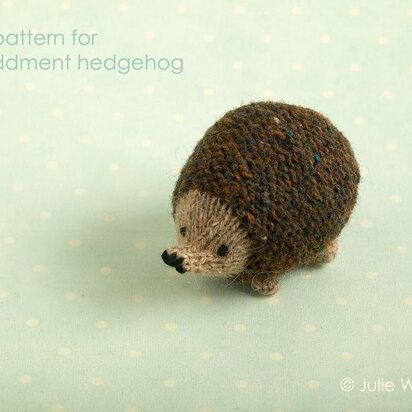 Little oddment hedgehog