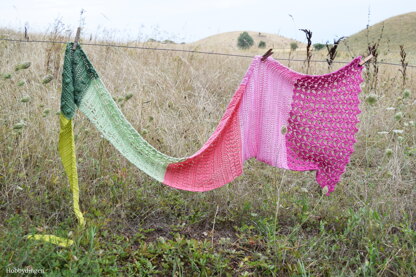 The Flower Fields Shawl