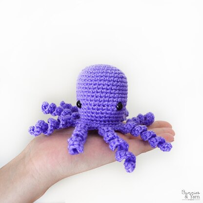 Octopus - Baby #8
