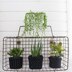 Project : 3 Plant Cozies