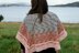 Hexagon Shawl