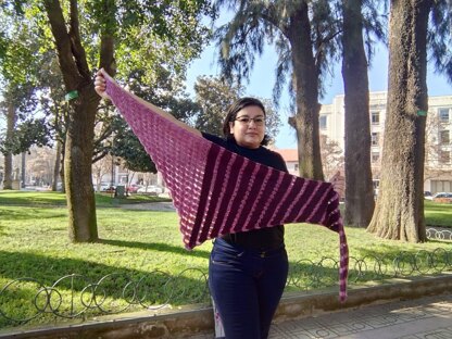 Besos y Abrazos Shawl