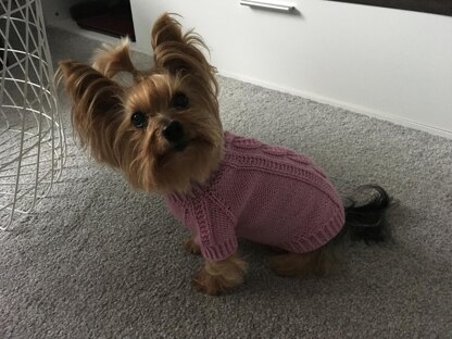 Pink Dog Sweater