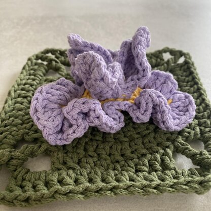 Iris Granny Square