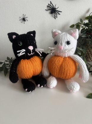 Pumpkin kitty