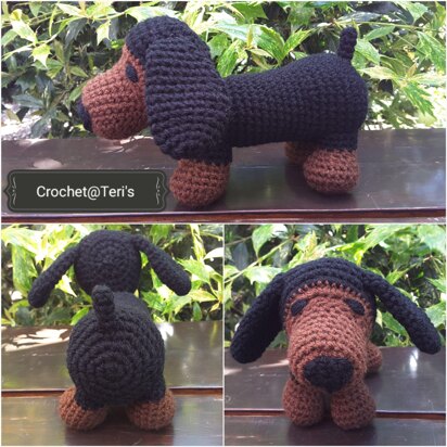 Dachshund (Sausage Dog)