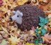 Hector the Hedgehog