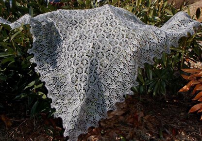 Chrysalis Shawl