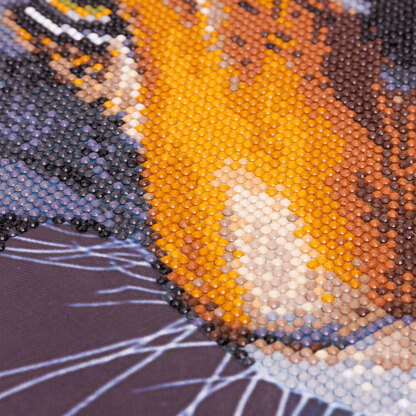 Crystal Art The Tiger, 70x70cm Diamond Painting Kit