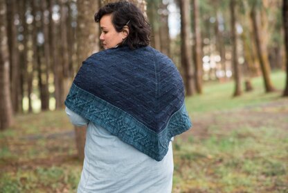 Crossing Twigs Shawl