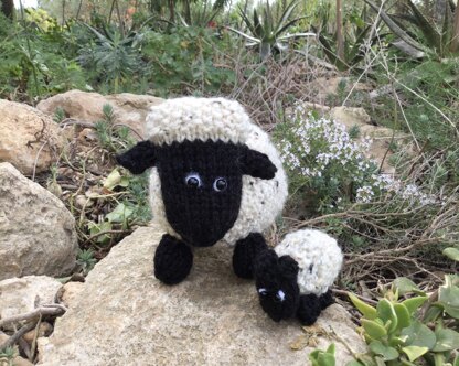 Sheep in the garden!