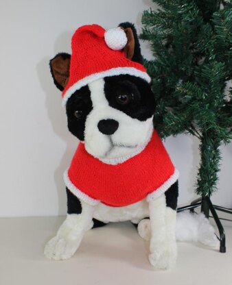 Dog Christmas Santa Hat and Coat