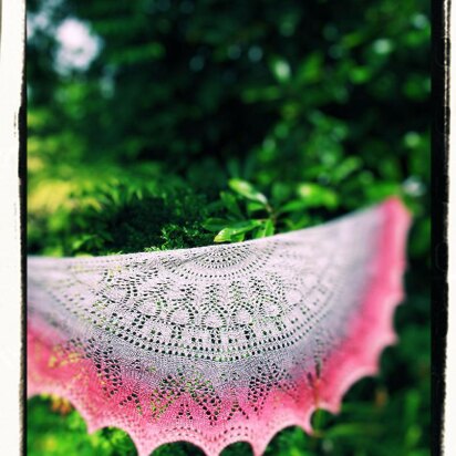 Watering in the Garden Shawlette