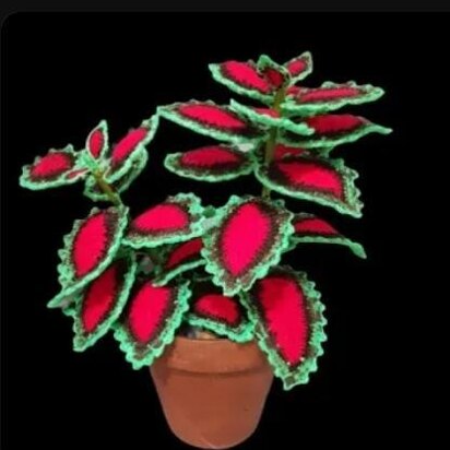 Crochet Coleus plant