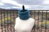 Everfrost Cowl