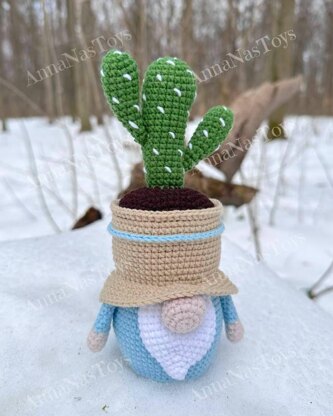 Gnome-cactus in a pot 2