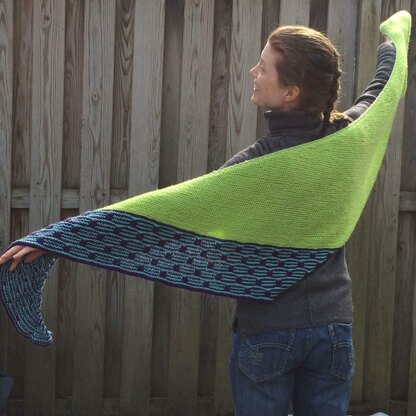 Stepstone Shawl