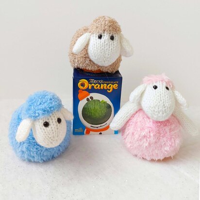 Sheep Chocolate Orange Cover BB061