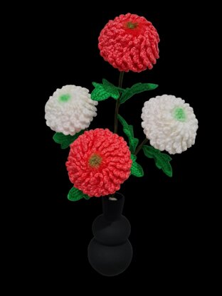 Ping Pong Chrysanthemum flowers