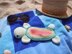 Turtle Sunglasses Case