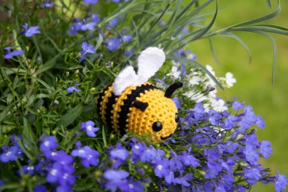 Bertie Bee - US Terms