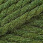 Grass (131)