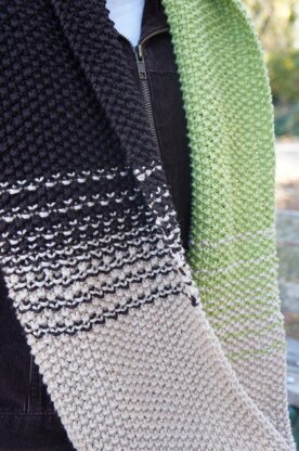 Transitions Infinity Scarf