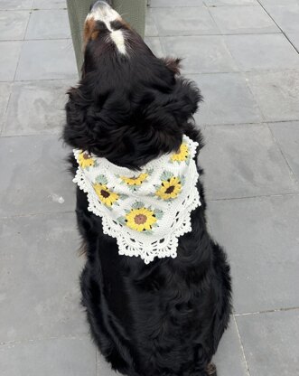 Sunflower Bandana