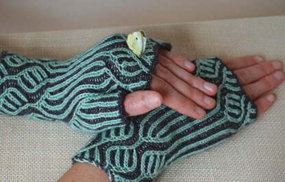 The Naturalist's Mitts