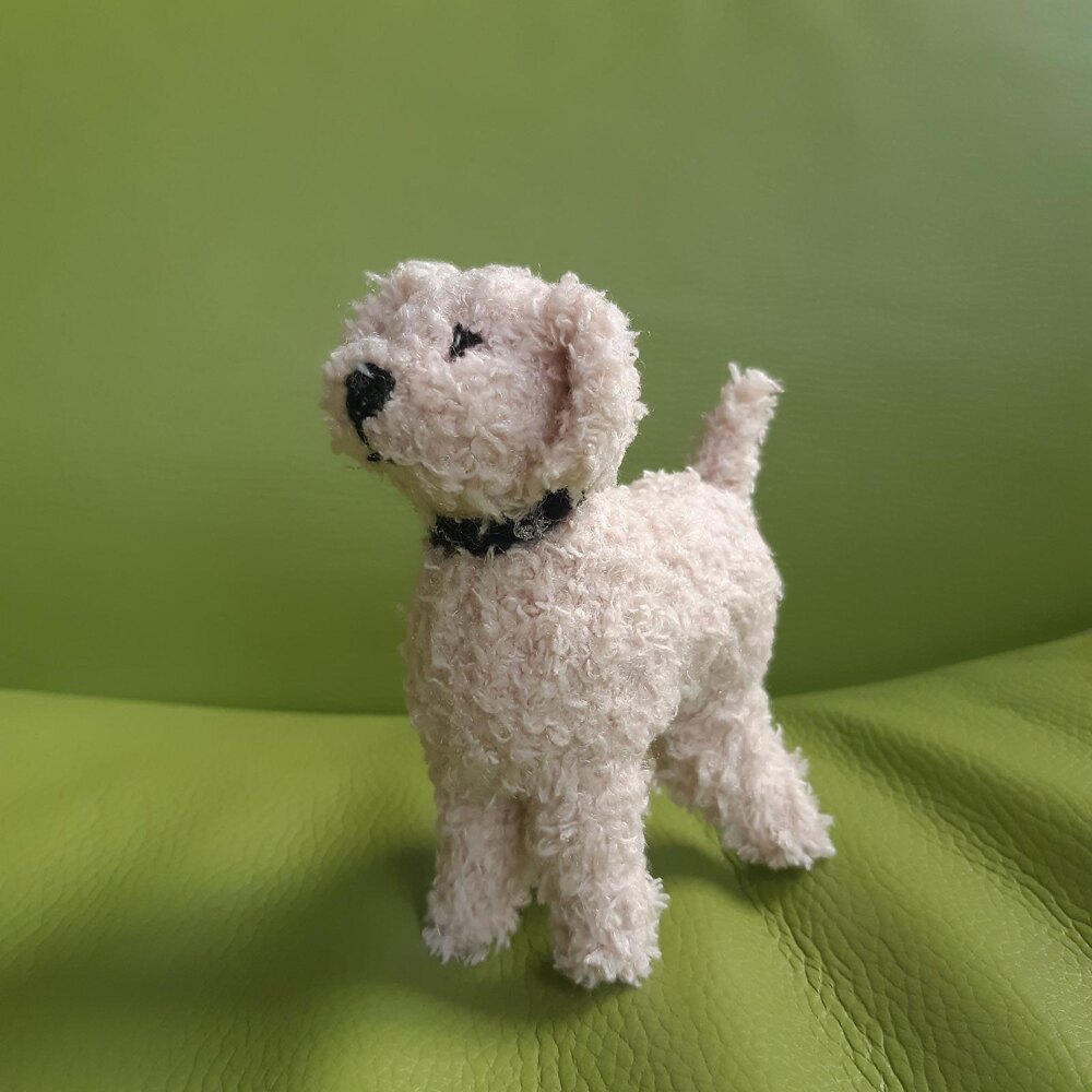 Toy poodle