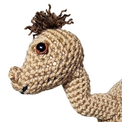 Hump Day Camel