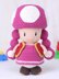 Toadette Super Mario character