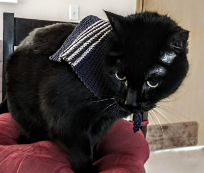 Nauti Cats Need Collars, Too
