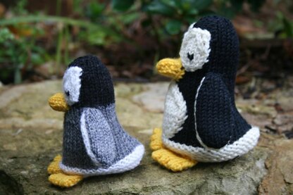 Perceval and Peppy Penguin