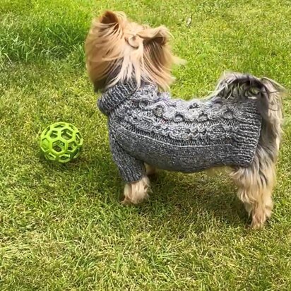 Slate Dog Sweater - knitting pattern
