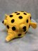 Sea Creatures Boxfish