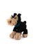 Deramores Dera Dogs 2 PDF