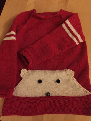 Teddy sweater