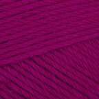 Raspberry (5046)