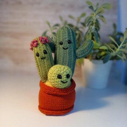 Knitted Cactus Family