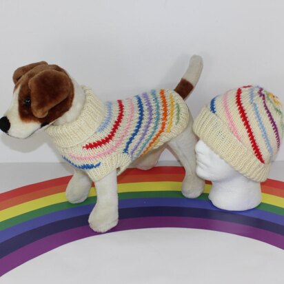 Chunky Swirl Stripe Dog Coat & Matching Beanie Hat