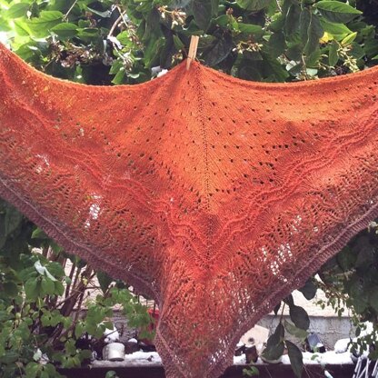 StarPainter Shawl