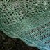 Spring Meadows Shawl